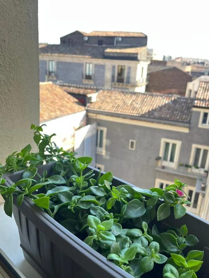 La Terrazza Di Sant'Agata Apartment Catania Italy